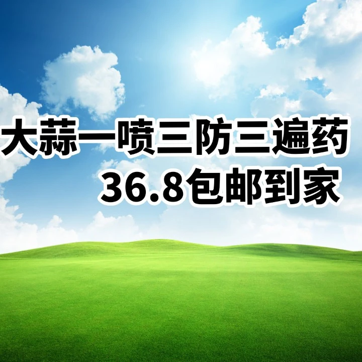 大蒜一喷三防三遍要药