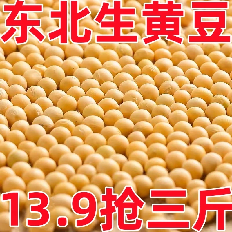 3斤//13.9】 2023东北黄豆大豆高蛋白榨豆浆专用生豆芽大粒黑龙江