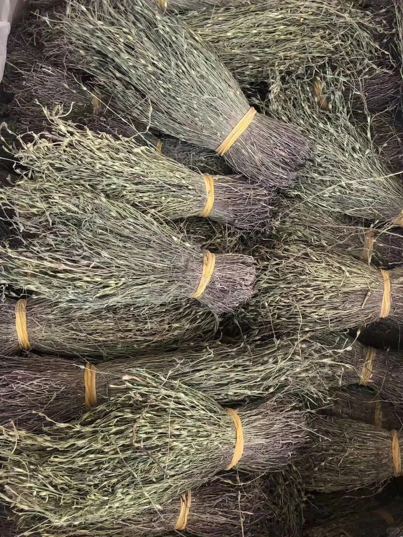 独脚金（照片仅供参考，实物为准）