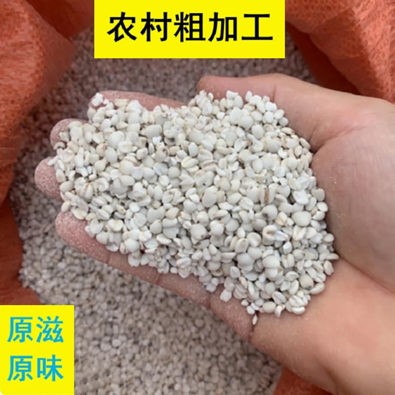 大山农家小薏米仁正宗新货薏仁米意苡仁中药材
