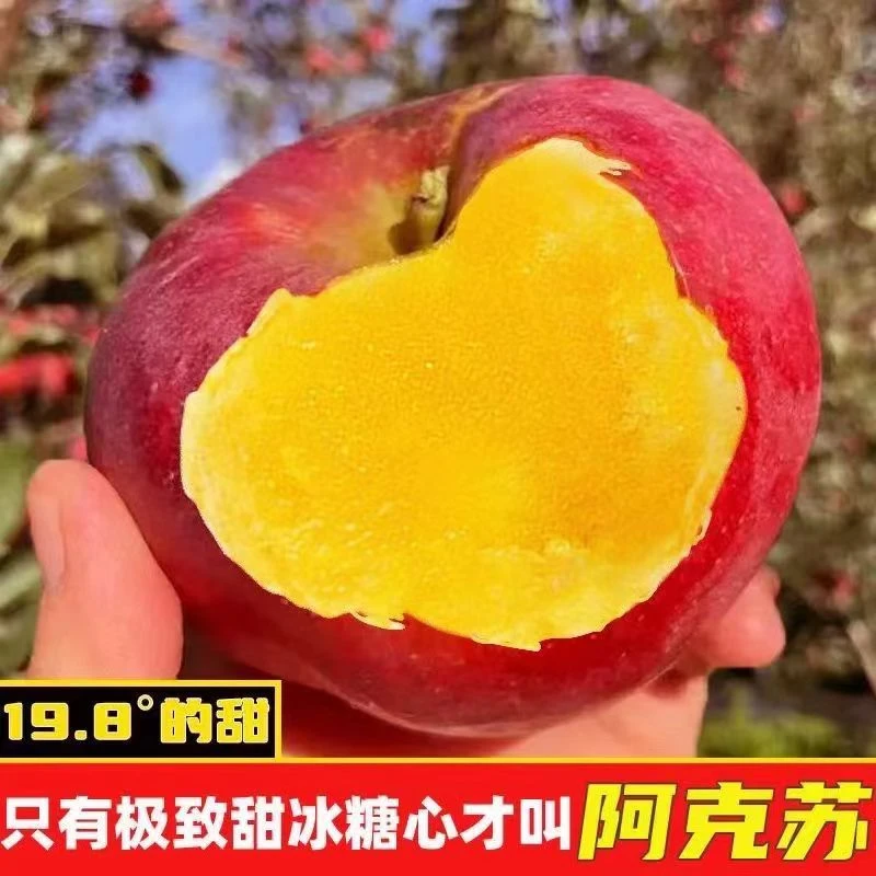 正宗新疆阿克苏冰糖心苹果脆甜多汁丑苹果原生态直供净重2-9斤