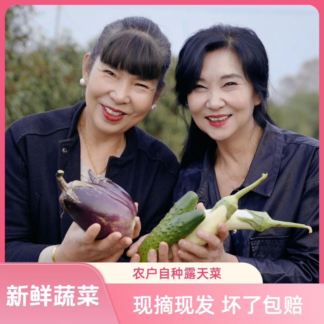 【混搭】正宗农户自种时令蔬菜露天菜现摘现发包邮