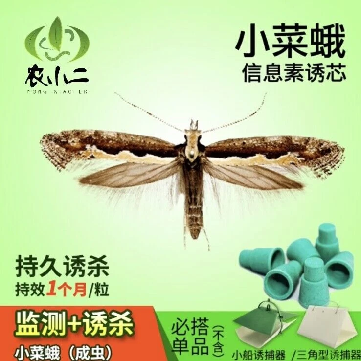 小菜蛾信息素诱芯引诱剂性诱剂诱虫芯配套三角形船型诱捕器粘虫板