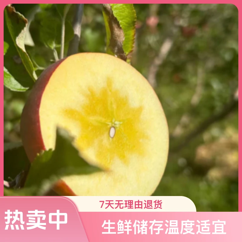 四川大凉山糖心丑苹果
