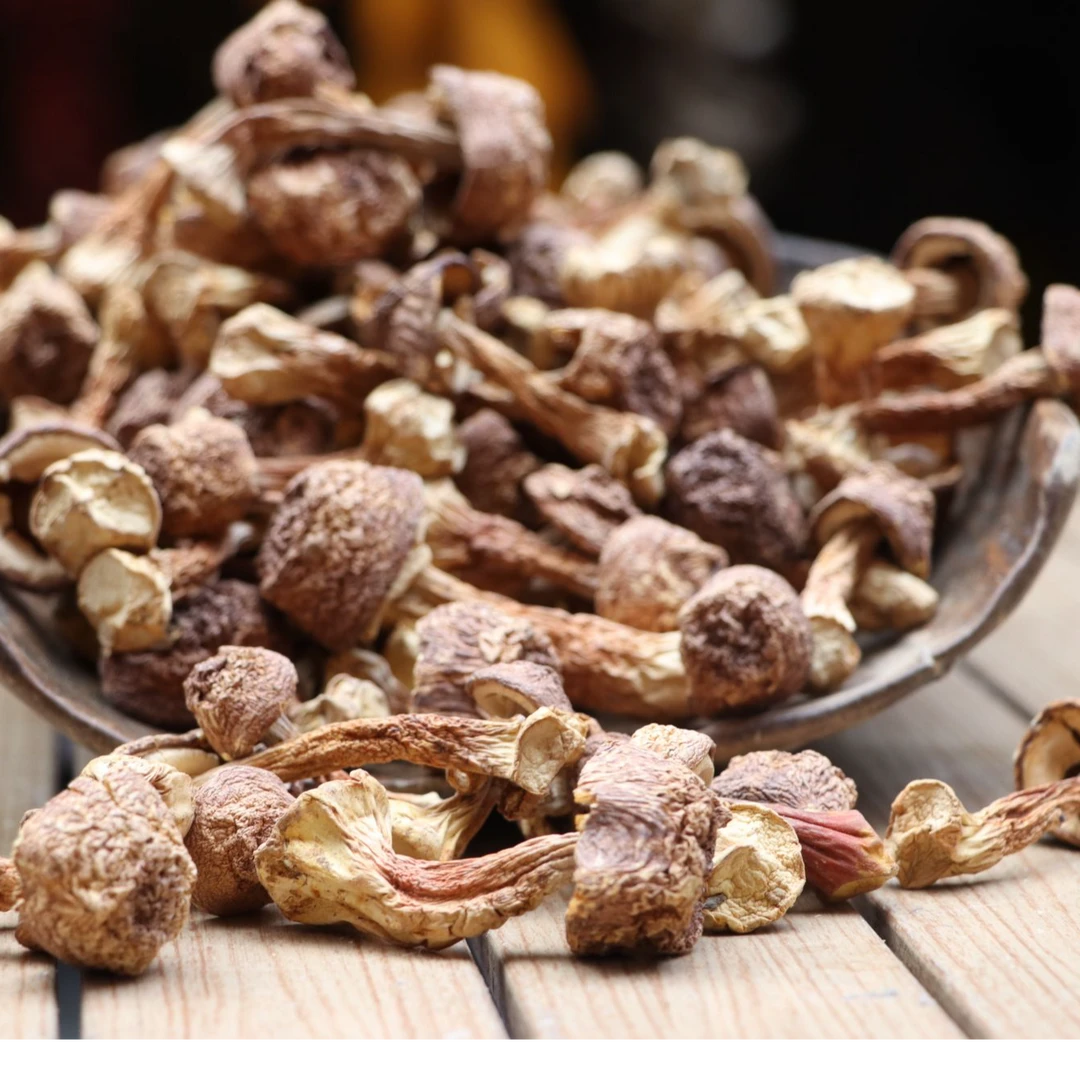 【村民代卖】大巴山姬松茸