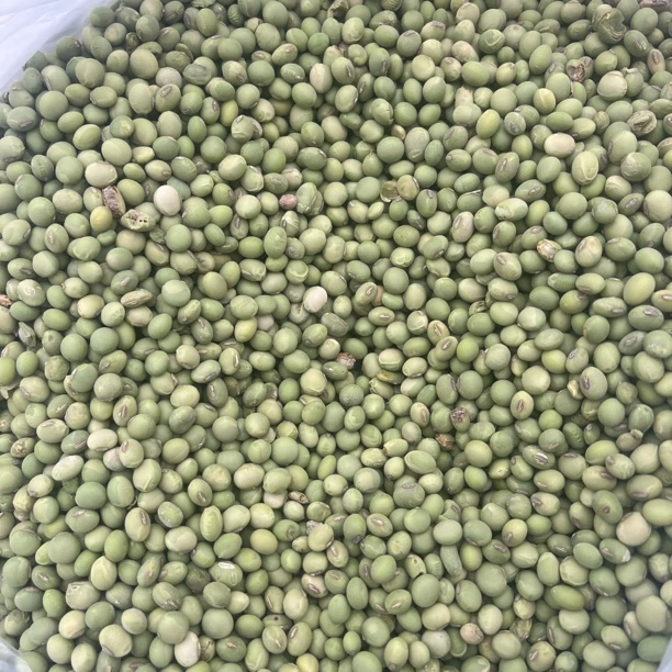 【张金助农】大巴山绿黄豆