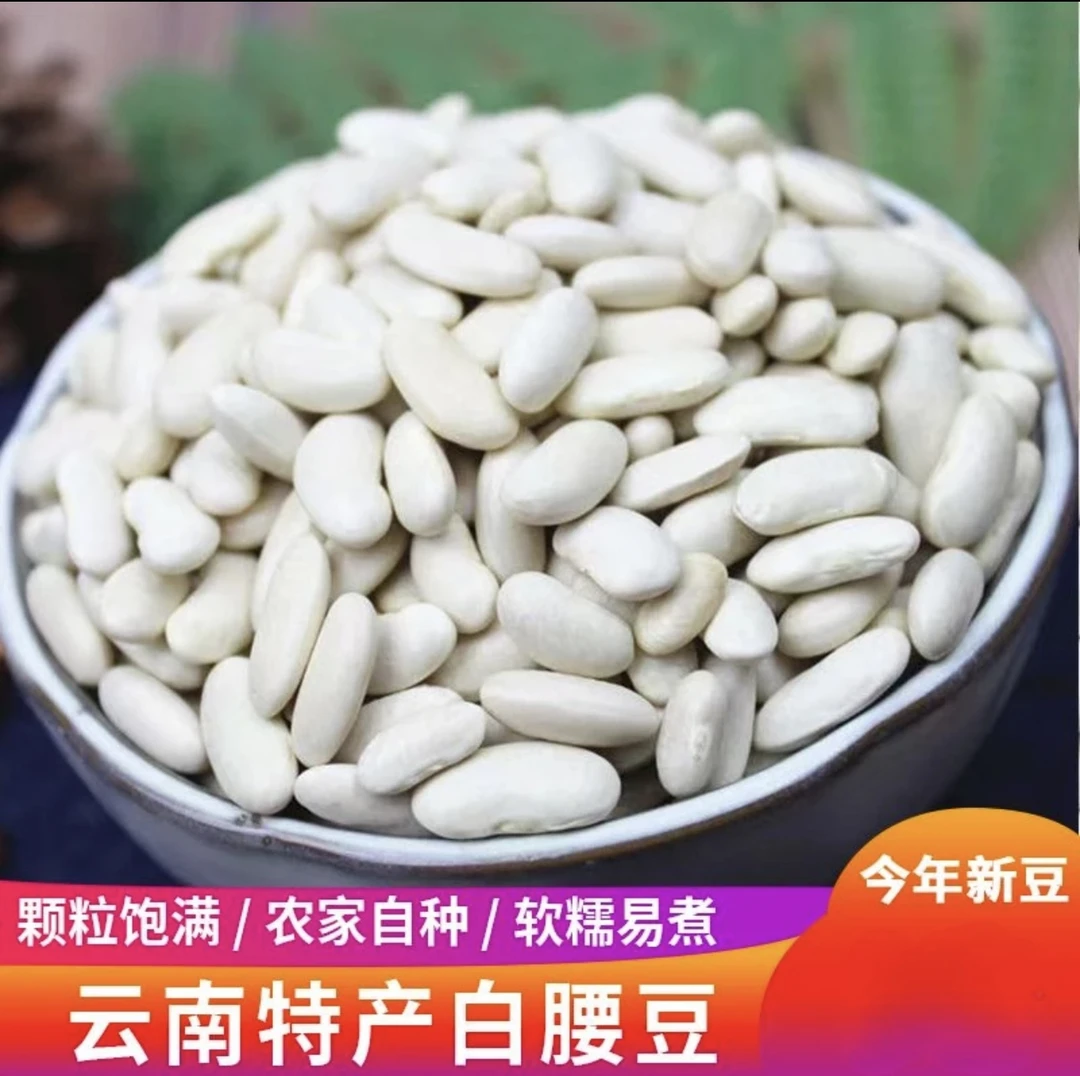 云南农家新鲜白腰豆 白金豆