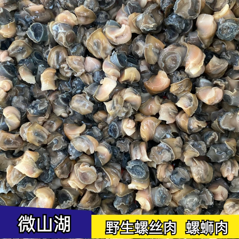 微山湖田螺肉螺狮肉纯野生田螺商用家用烧烤专用精选