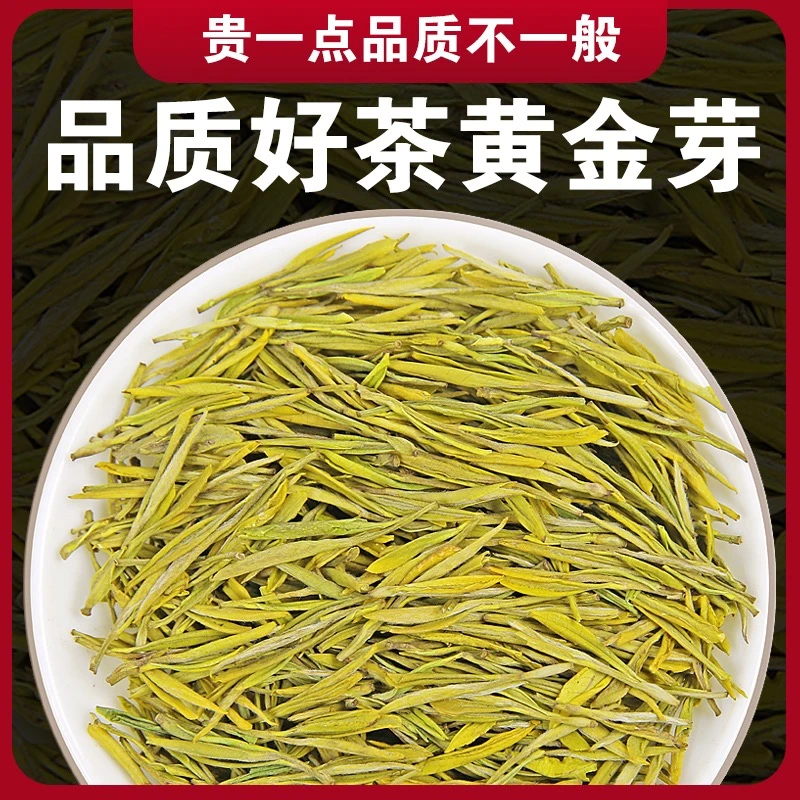 新茶春茶手工正宗黄金芽茶叶鲜嫩醇厚传统兰花香B