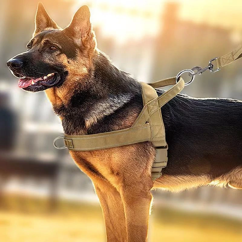 狗狗胸背带中大型犬背心式牵引绳项圈马犬金毛拉多拉多外出遛狗绳