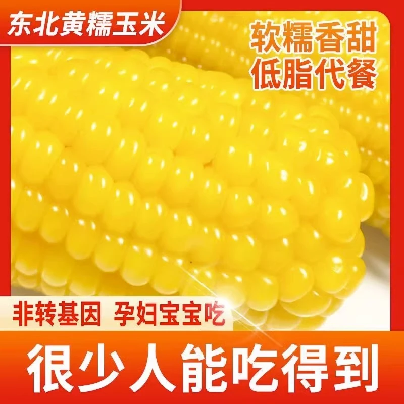 两支富硒玉米