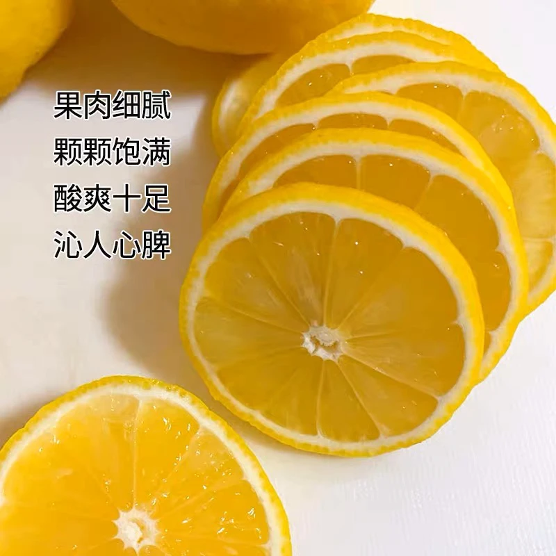 【8枚装】四川安岳柠檬8个装单果80-120g