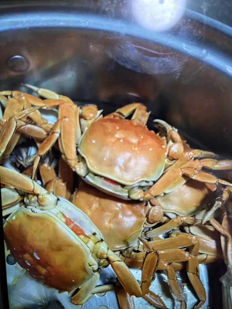 精品太湖蟹2两母