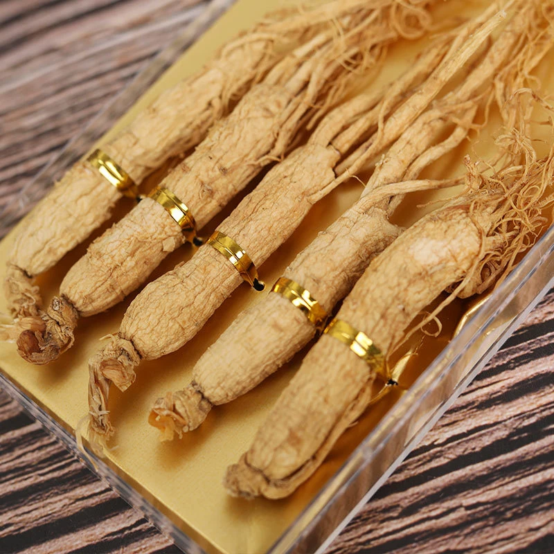 【精选干参5支装】长白山产地人参 原皮全须生晒白参50g60g/泡酒