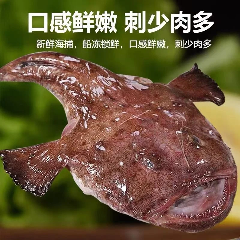 新鲜安康鱼灯笼鱼鮟鱇鱼大蛤蟆鱼大嘴鱼去内脏保留鱼肝鱼肚海捕