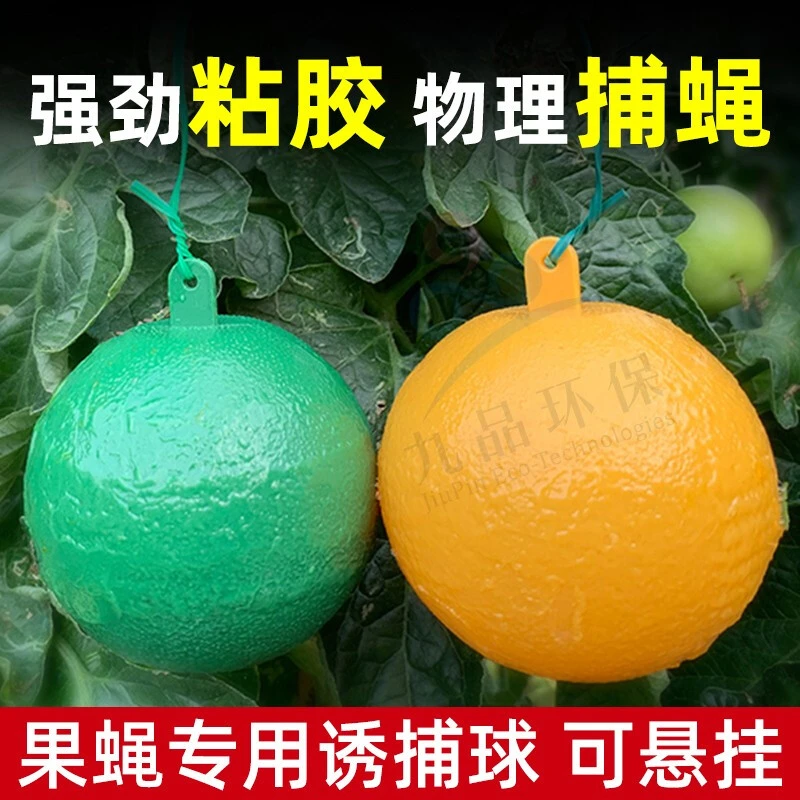 诱蝇球瓜果实蝇粘虫悬挂球捕柑橘大实蝇杀桔小实蝇针蜂沾马蜂蝇