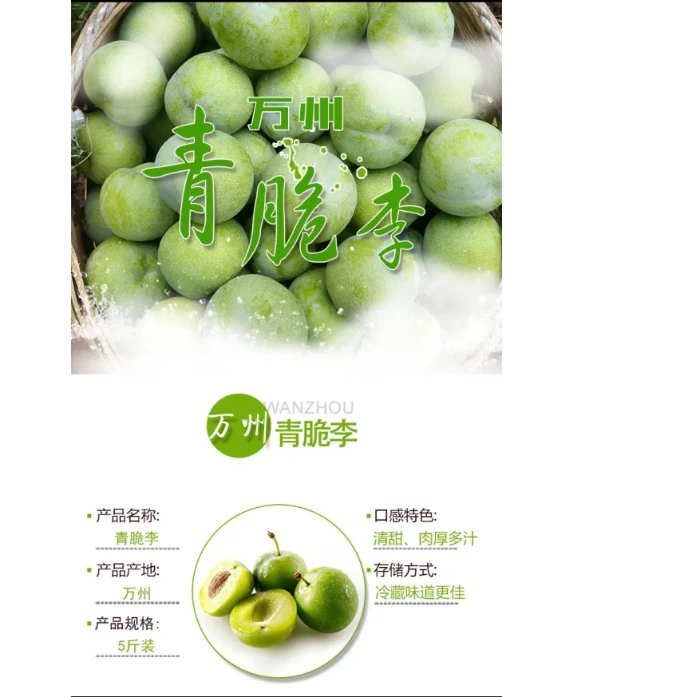 【顺丰空运包邮】重庆万州中熟青脆李香甜多汁清脆脱骨净重5斤