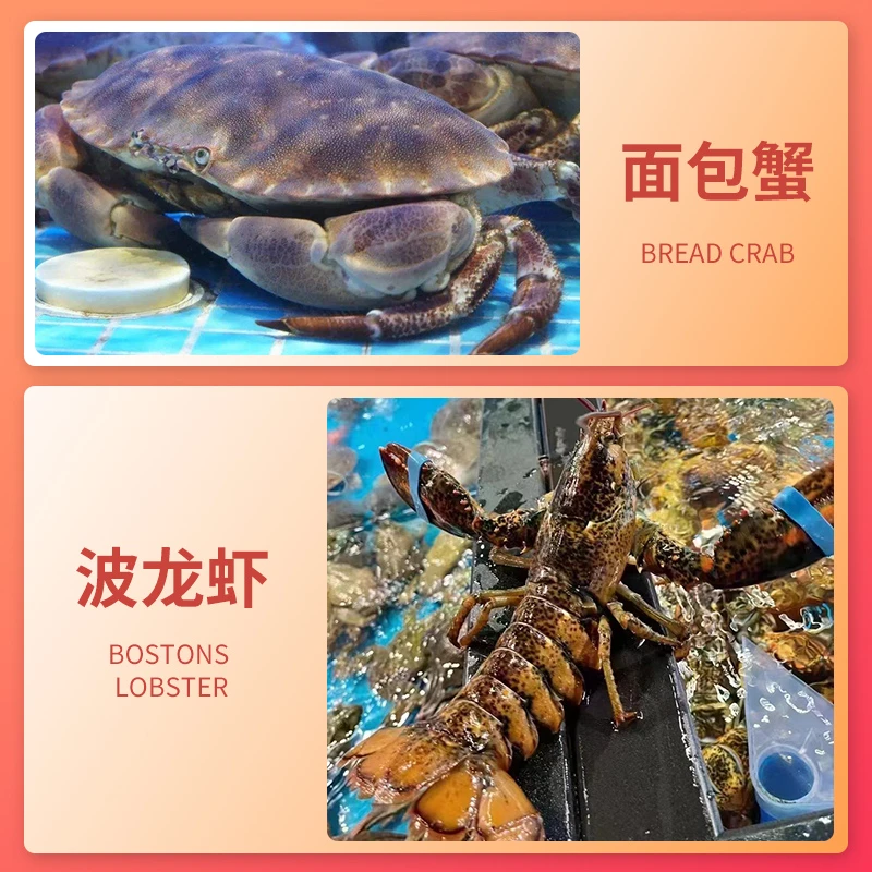 【1只面包蟹+1只波龙套餐】直播现称生猛活发虾蟹套装 (不保活)