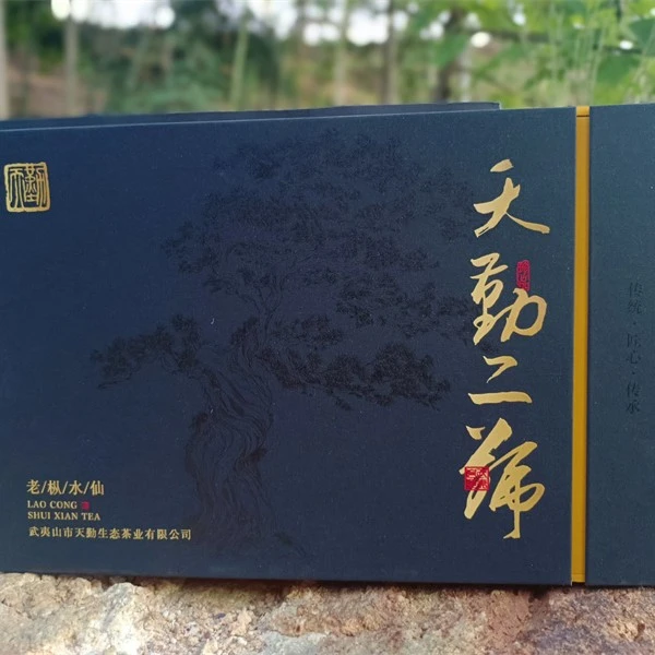 【天勤】天勤二号老丛水仙