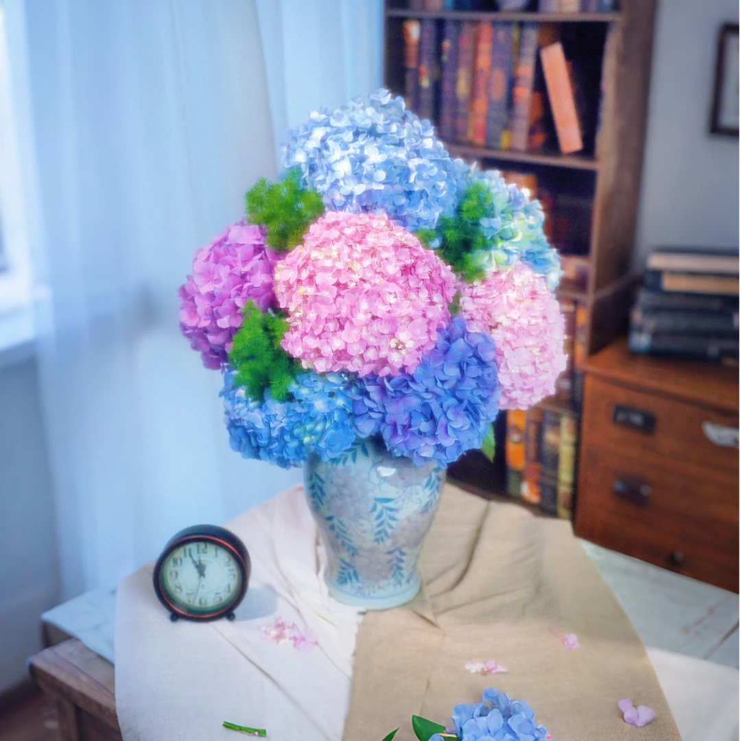 【大绣球】AAA级居家氛围感花材