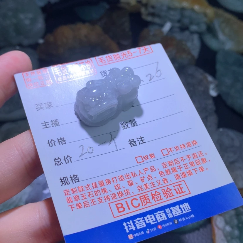 【闪购商品】翡翠颈饰未镶嵌