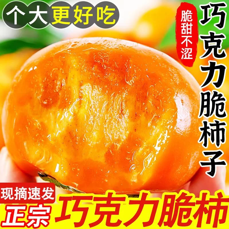 【现摘现发】云南文山脆柿子新鲜孕妇水果无核巧克力硬柿子整箱包邮