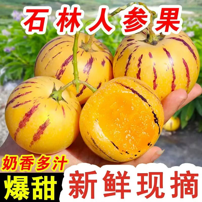 云南石林人参果黄肉圆果人生果黄心超甜新鲜应季水果产地直发