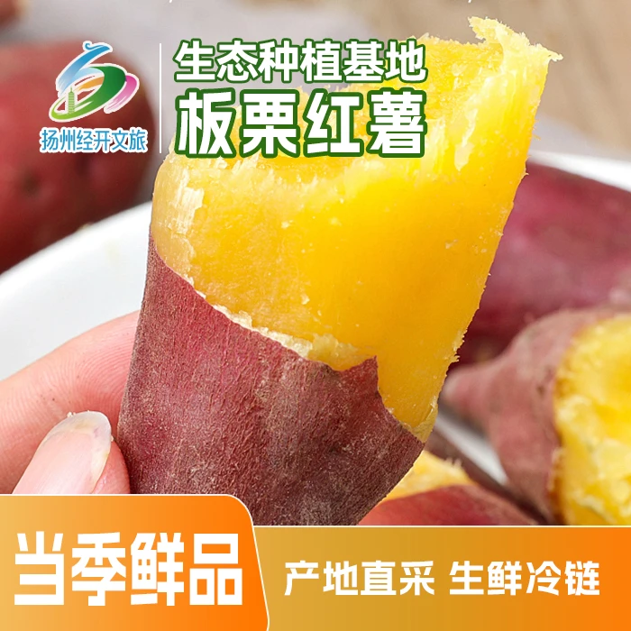 正宗陕西板栗红薯红皮黄心粉面甘甜瓜番薯正宗板栗薯
