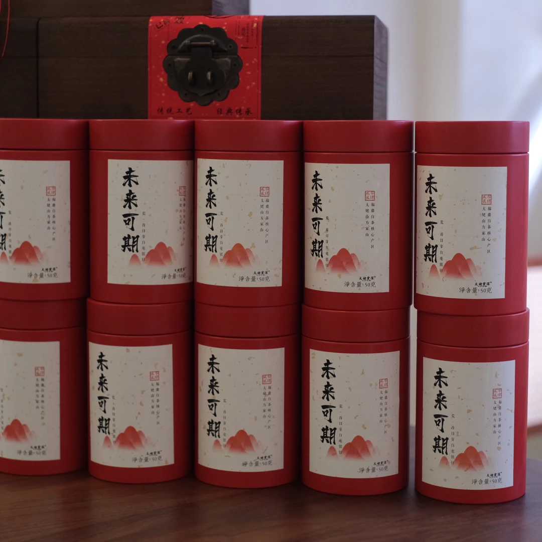 新品太姥山方家山2024年未来可期/荒野首日芽白毫银针/鲜甜野韵