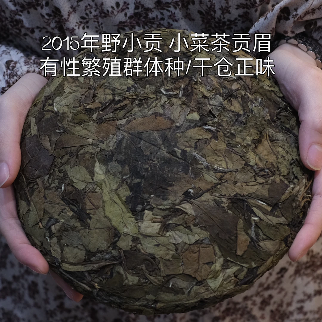 太姥山福鼎白茶野小贡2015年小菜茶贡眉有性繁殖群体种