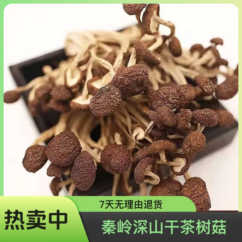 【秦岭深山干茶树菇200g/袋】不开伞无根干菌天然当归黑豆