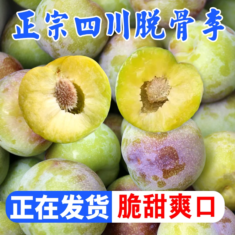 正宗四川半边红脱骨李茵红脆李土李子酸甜多汁现摘现发产地直销