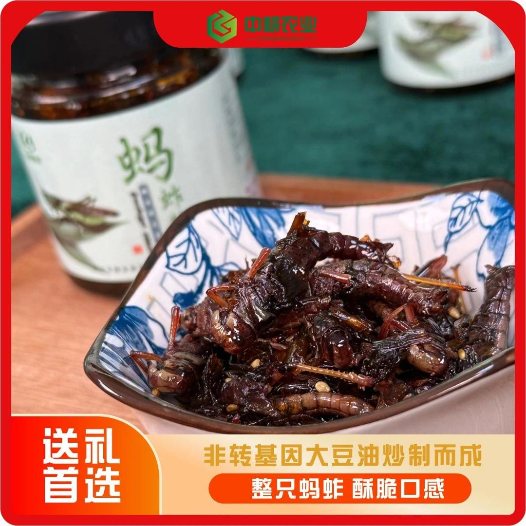 山东特色蚱蜢酱下饭酱开胃辣椒酱油炸蝗虫香拌饭菜罐装下饭神器