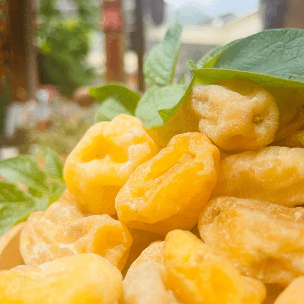 【张金助农】城口高山洋芋果