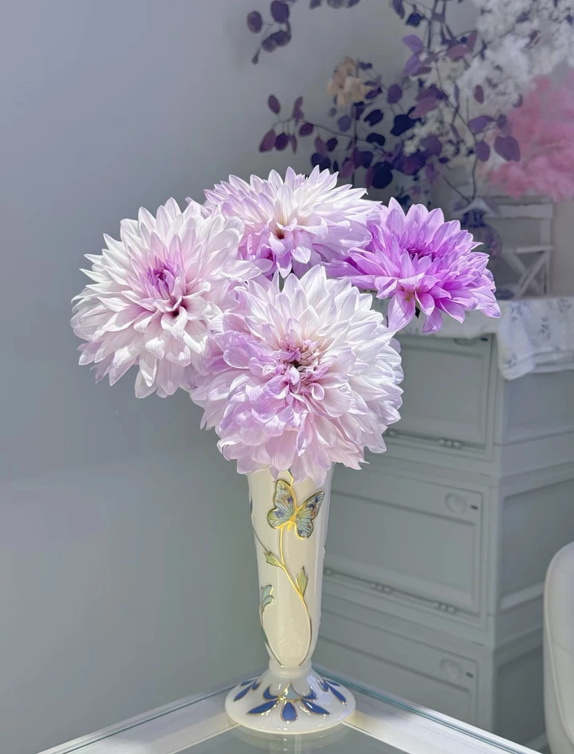 大丽花（任意5把花一个运费）