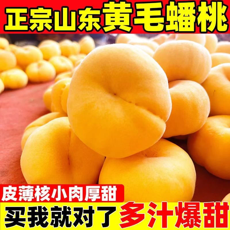 高山黄金蜜蟠桃水果生鲜爆甜多汁产地直发