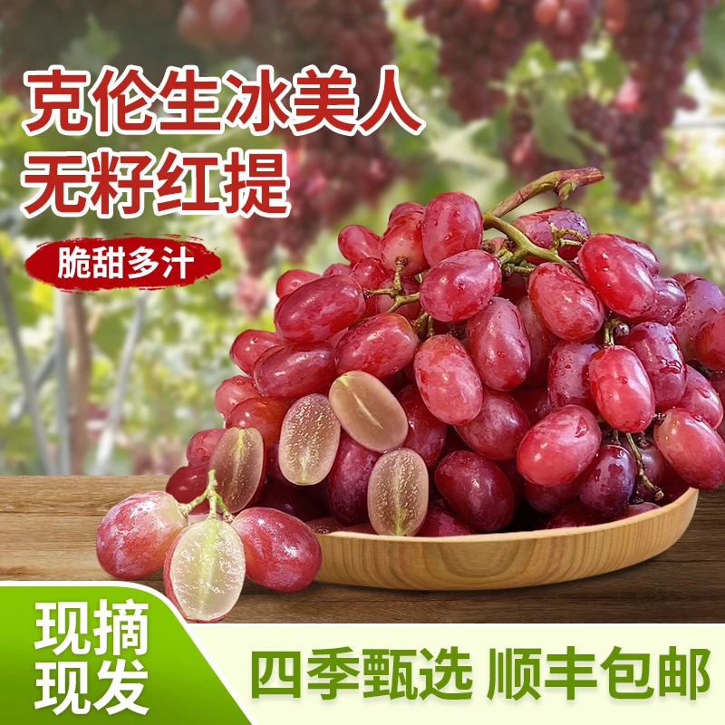 【顺丰包邮】克伦生无籽红提 纯甜无酸 无籽葡萄 枝头鲜果 现摘现发