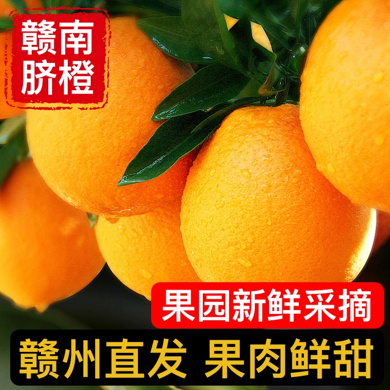 【彩箱】江西正宗赣南脐橙原产地直发皮薄肉厚鲜嫩多汁