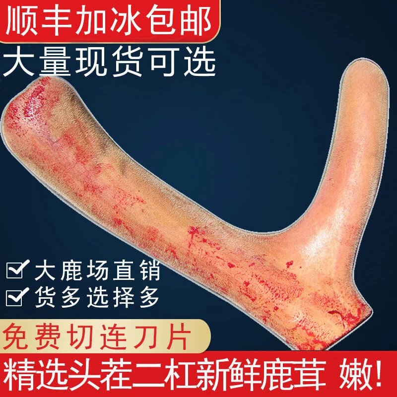鲜鹿茸整枝整根鹿茸片长白山梅花鹿角鲜鹿茸新鲜带血切片泡酒
