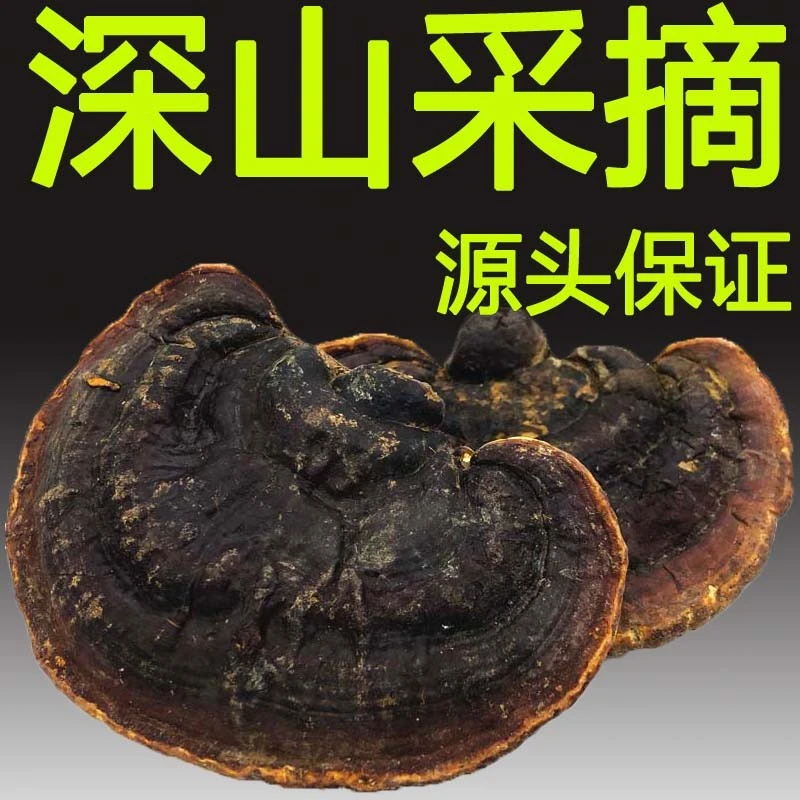 长白山灵芝250g 赤灵芝干货整枝赤芝林芝切片泡酒泡茶煲汤