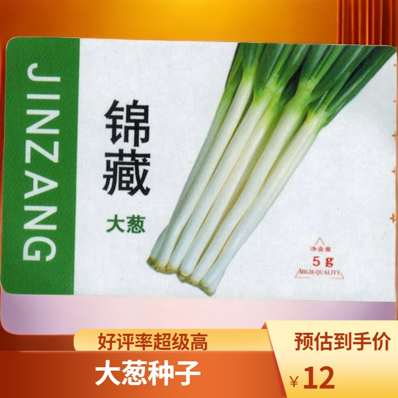 鲁种进口大葱种子锦藏高产根系发达耐热叶紧凑商品性好横裤小包装