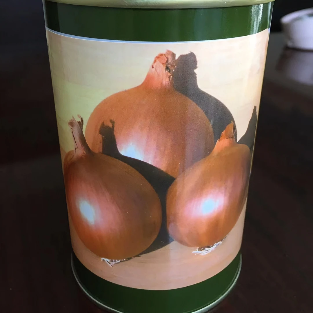 鲁种进口黄皮洋葱种子之春四表皮古铜色球茎紧实圆球型单心率高
