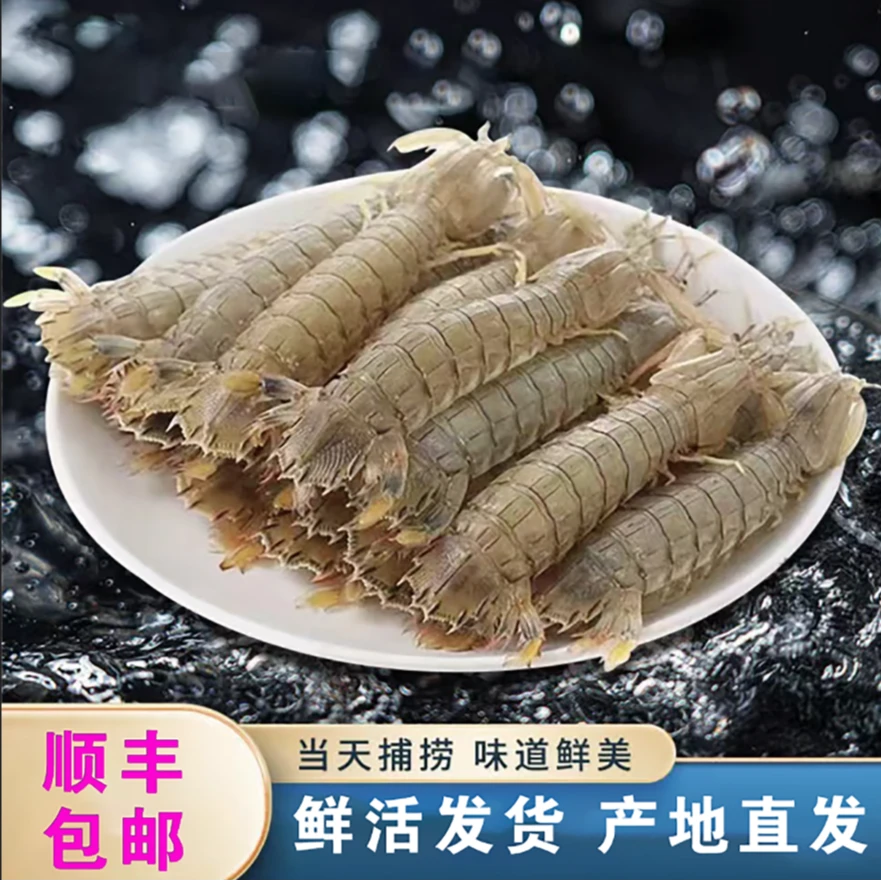 【顺丰包邮】新鲜野生熟冻皮皮虾 富贵虾 爬爬虾 濑尿虾 呛虾广东