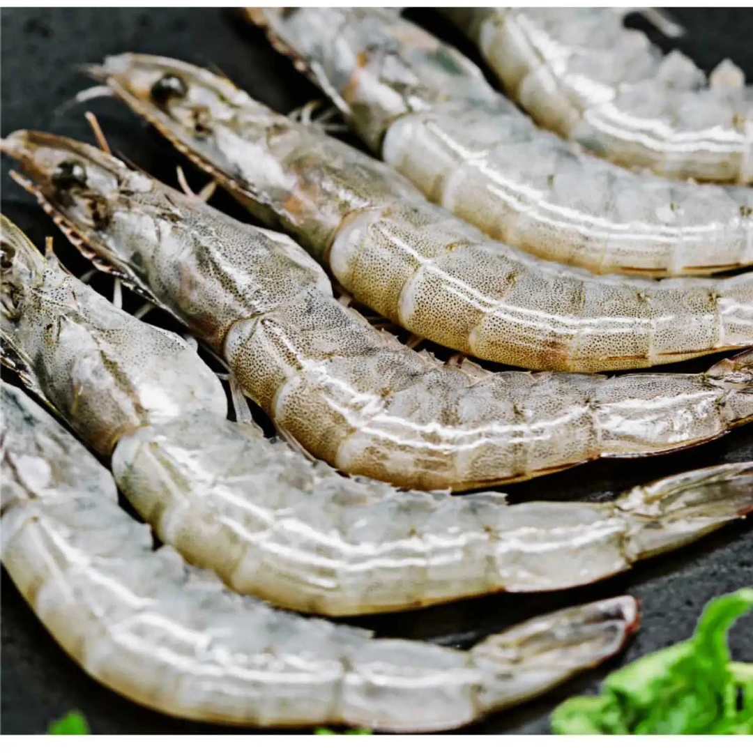 新鲜厄瓜多尔白虾30-40鲜活盐冻净重3斤/盒 大连发货 冷水海域