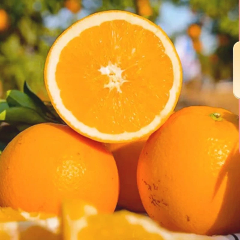 【正宗赣南脐橙】果园直发5斤精品果包邮到家