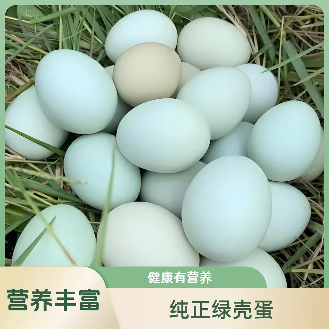 云南高山散养纯正绿壳蛋 营养丰富，纯天然绿壳蛋 包邮包路损