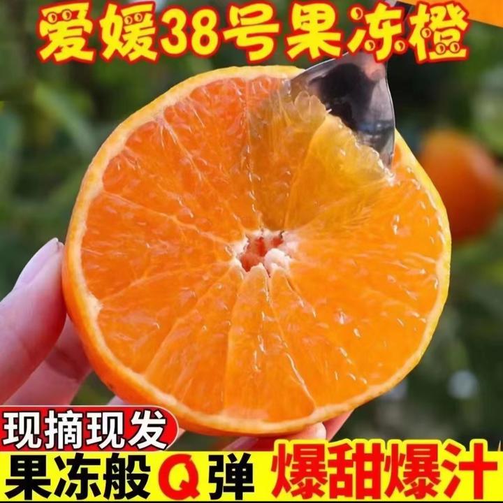 【携手YBH】-四川爱媛38号果冻橙新鲜眉山丹棱产区4.5-8斤风味十足