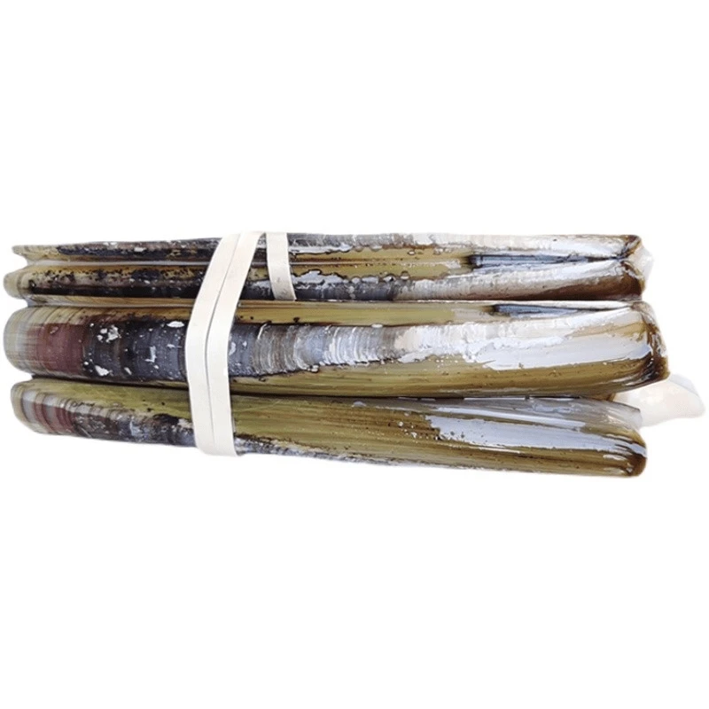 【鲜活】爱尔兰大竹蛏子 约500g/份(5-9只)(建议预定货源不稳定)