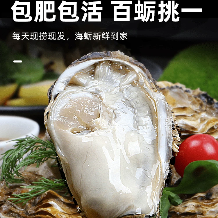 鲜活台山生蚝150g/只(3只起售)