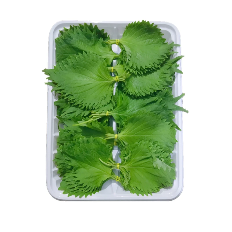 紫苏叶/盒 (苏子叶)